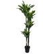 Kunstpflanze Dracaena - Drachenbaum