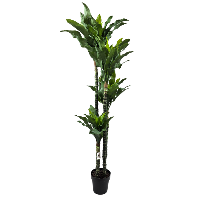 Kunstpflanze Dracaena - Drachenbaum