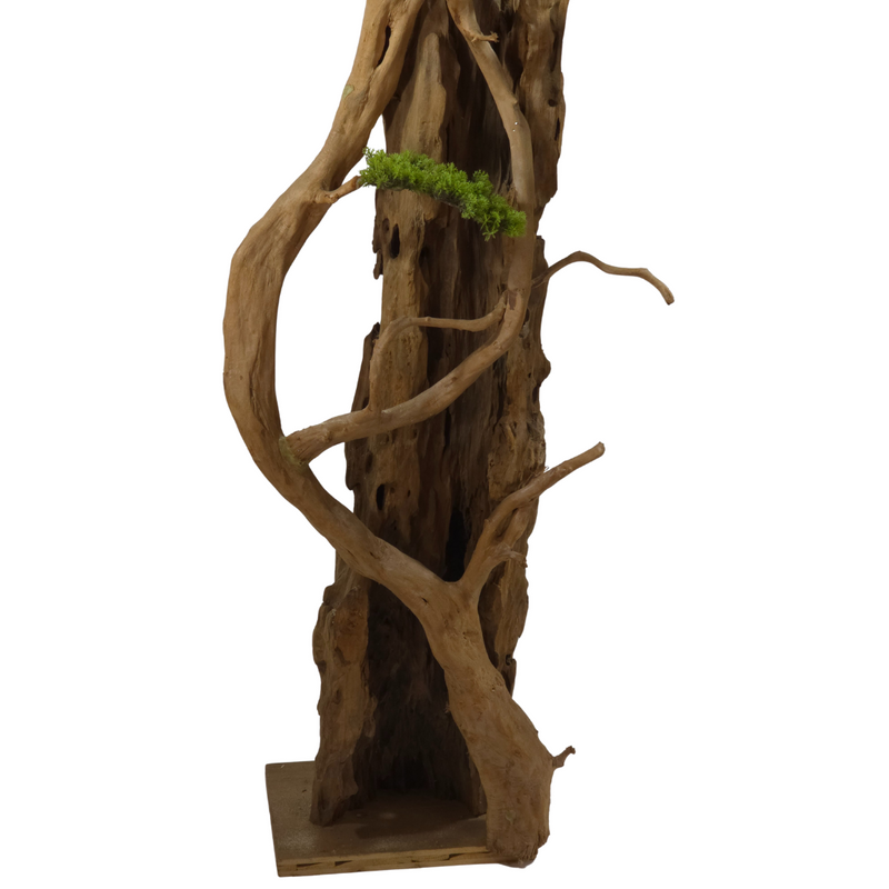 Kunstpflanze Bonsai – Groß