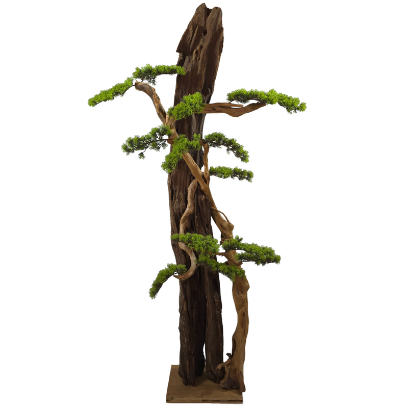 Kunstpflanze Bonsai – Klein