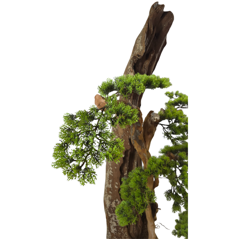 Kunstpflanze Bonsai – Klein