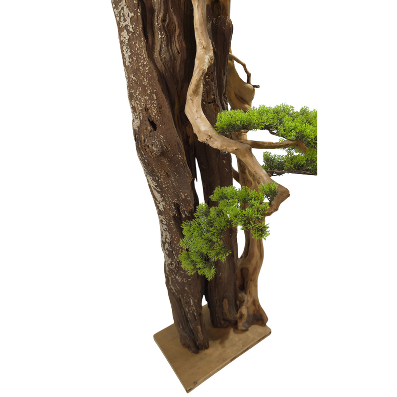 Kunstpflanze Bonsai – Klein
