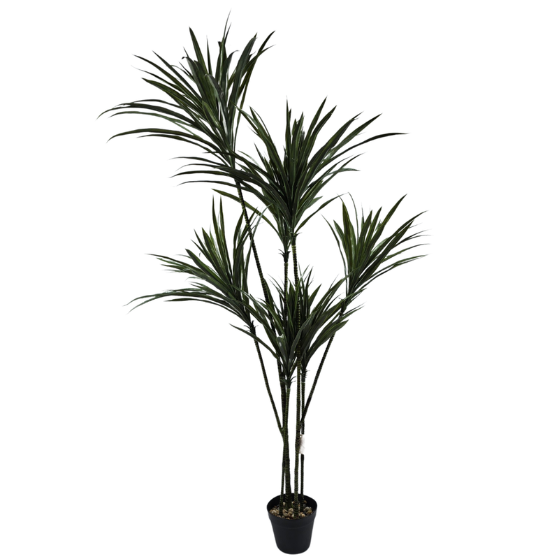 Kunst-Dracaena im Topf