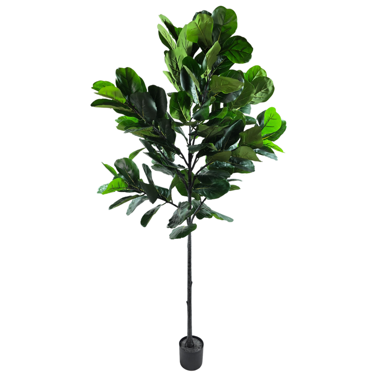 Kunstpflanze Geigen-Feige